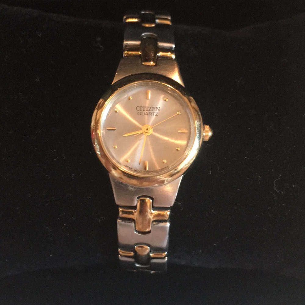 Delicate Citizen watch